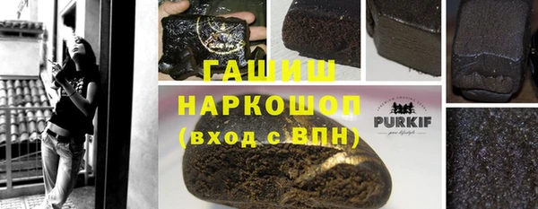 гидра Алексеевка